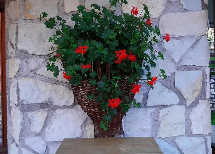 Taula' Dei Carle Vodo Cadore